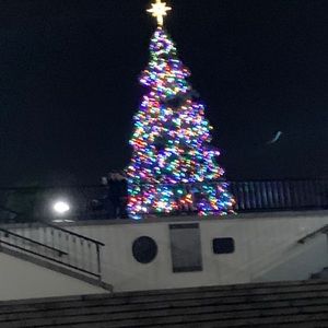 Meet your Posher, Amelia